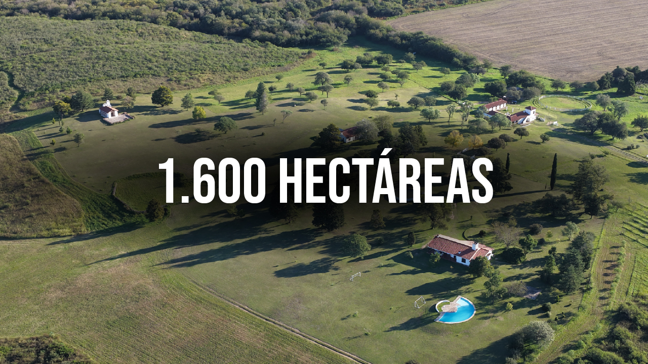 videos profesionales terrenos campos hectareas - Foto y video para vender campo - inmobiliarias en Cordoba miniatura-04