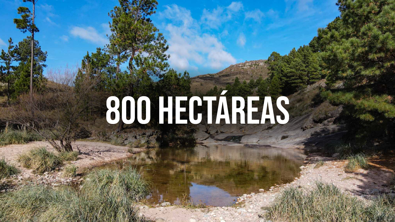 videos profesionales terrenos campos hectareas - Foto y video para vender campo - inmobiliarias en Cordoba miniatura-06
